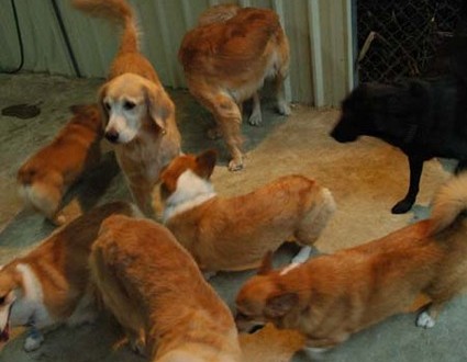 1380945406-1240552149