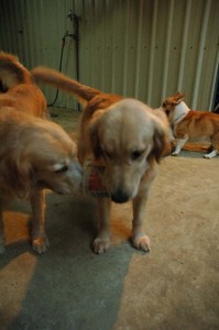 1380945406-3558675795