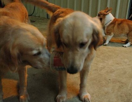 1380945406-3558675795