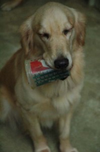 1380945406-366556342