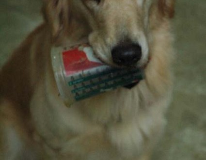 1380945406-366556342