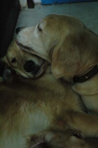 1380945409-1812362217