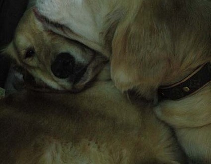 1380945409-1812362217