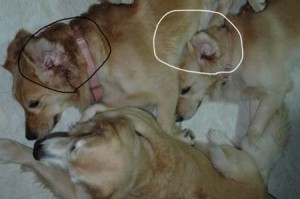 1380945410-690105706