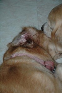 1380945410-927407943