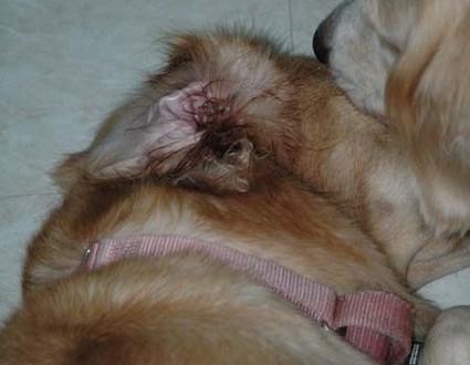 1380945410-927407943