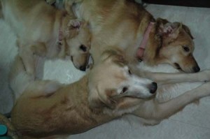 1380945411-4008206517