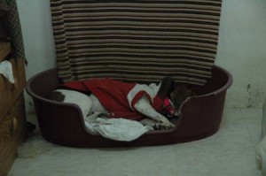 1380945412-3424722153