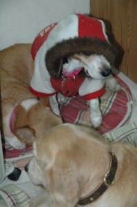 1380945412-621988376