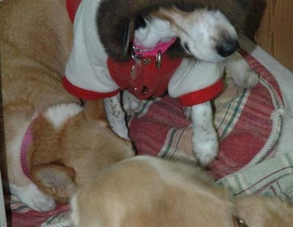 1380945412-621988376