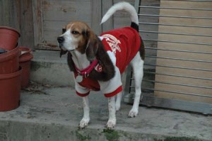 1380945413-2054460150