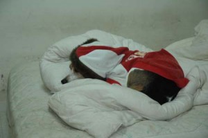 1380945414-3010222434