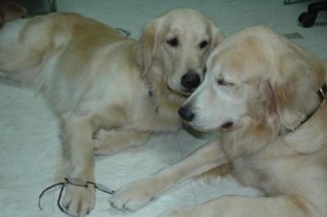 1380945419-3503384423