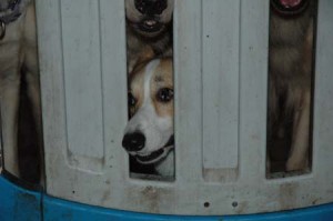 1380945424-1078224870