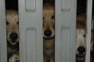 1380945424-888088534