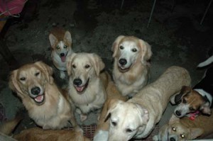 1380945426-3815959289