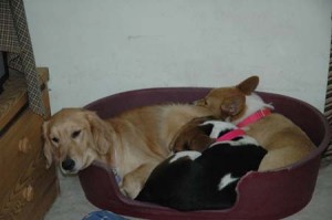 1380945427-2692498585