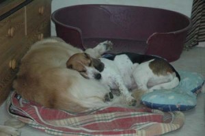 1380945428-1129402004