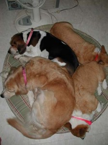 1380945428-1515604162