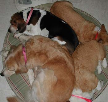 1380945428-1515604162