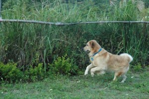 1380945431-3613499112