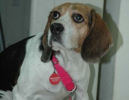 1380945434-1670827828