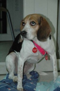 1380945435-2912674416