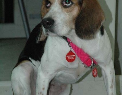 1380945435-2912674416