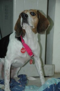 1380945435-904609254