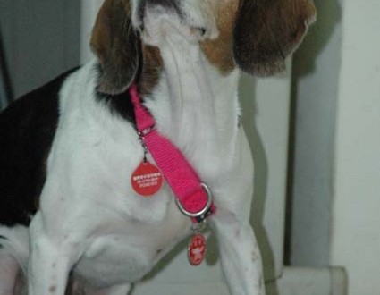 1380945435-904609254