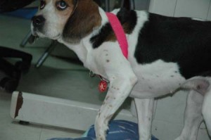 1380945436-1243240803