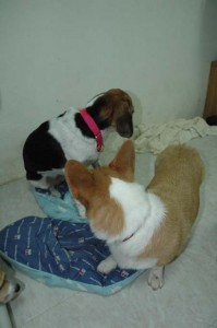 1380945436-2715995687