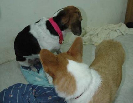 1380945436-2715995687