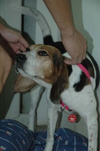 1380945436-542767305