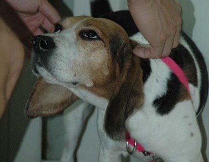 1380945436-542767305