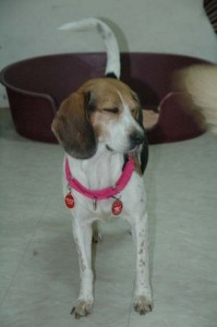 1380945437-1768726734