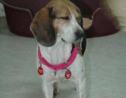 1380945437-1768726734