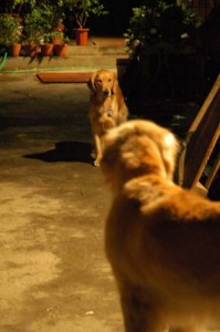 1380945438-2770483381