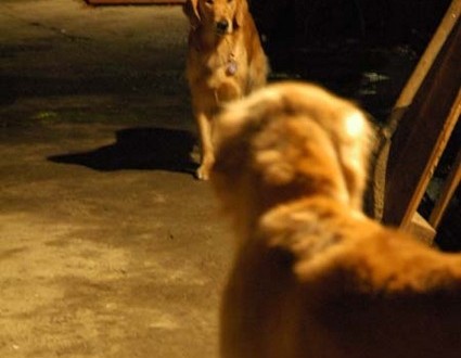 1380945438-2770483381