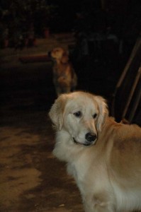 1380945438-3444207940