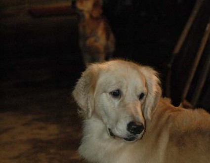 1380945438-3444207940