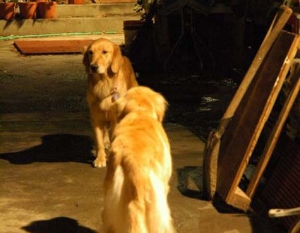 1380945438-3560354254