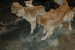 1380945440-3737098554