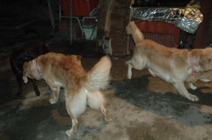 1380945440-543978692