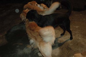 1380945440-886839641