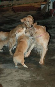 1380945441-1573326110