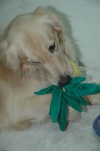 1380945442-995828570