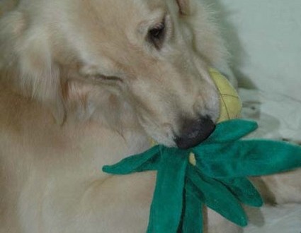 1380945442-995828570