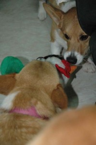 1380945443-1440745715