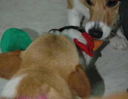 1380945443-1440745715